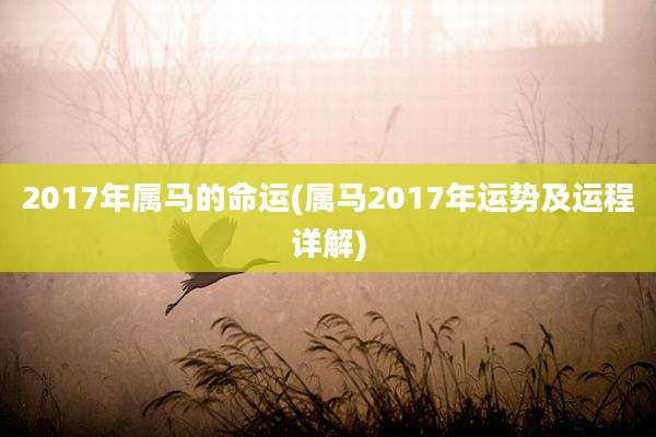 2017年属马的命运(属马2017年运势及运程详解)