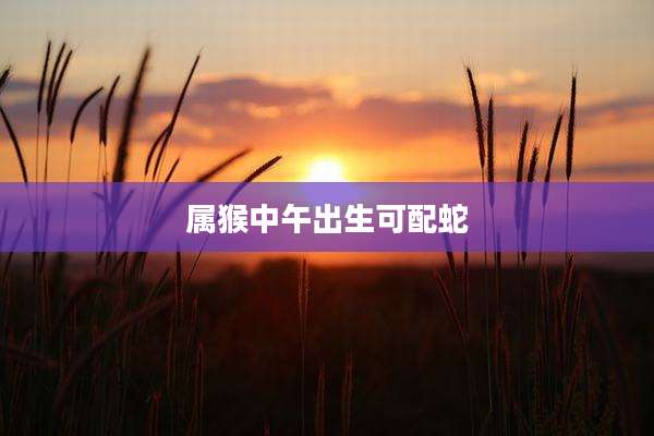 属猴中午出生可配蛇