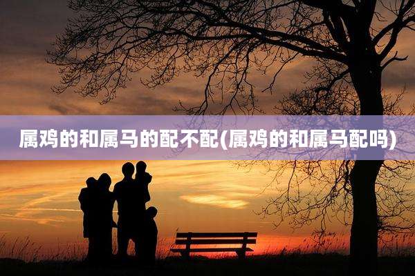 属鸡的和属马的配不配(属鸡的和属马配吗)
