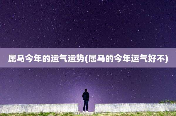 属马今年的运气运势(属马的今年运气好不)