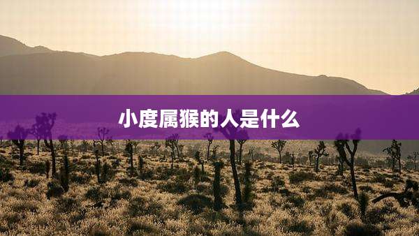 小度属猴的人是什么