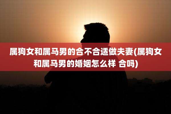 属狗女和属马男的合不合适做夫妻(属狗女和属马男的婚姻怎么样 合吗)