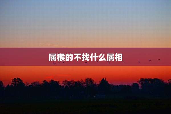 属猴的不找什么属相