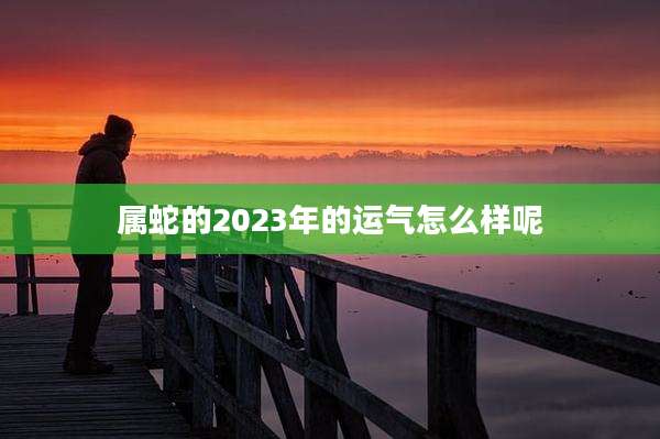 属蛇的2023年的运气怎么样呢