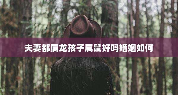 夫妻都属龙孩子属鼠好吗婚姻如何