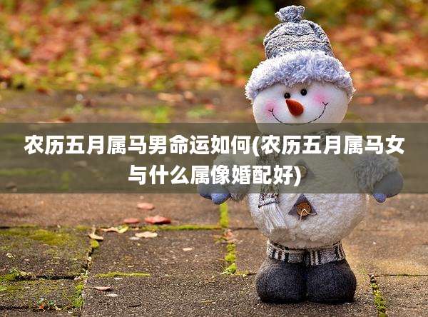 农历五月属马男命运如何(农历五月属马女与什么属像婚配好)