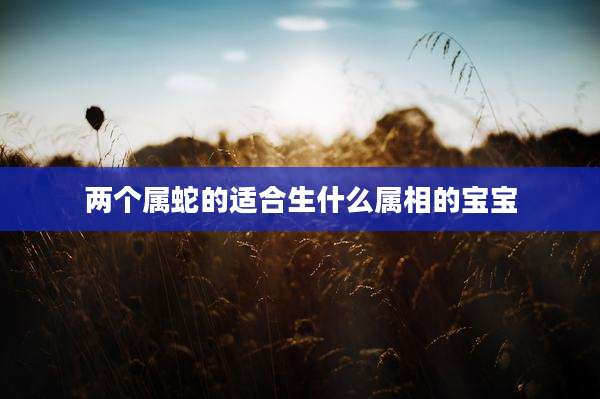 两个属蛇的适合生什么属相的宝宝