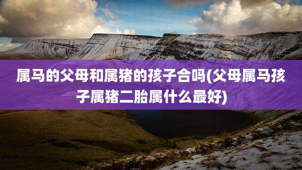 属马的父母和属猪的孩子合吗(父母属马孩子属猪二胎属什么最好)