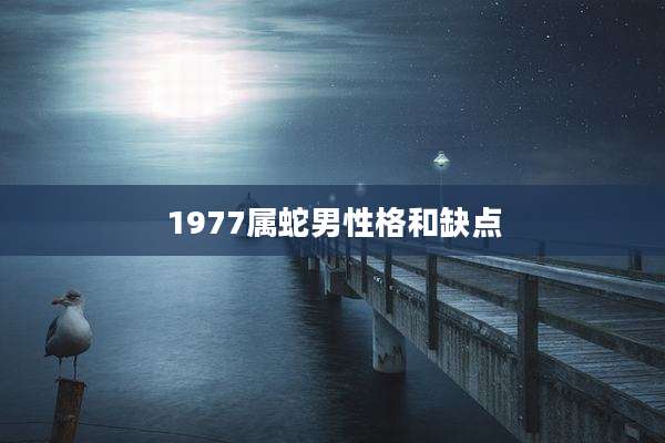 1977属蛇男性格和缺点