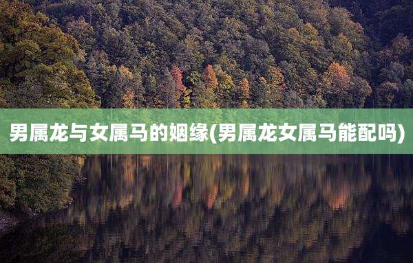 男属龙与女属马的姻缘(男属龙女属马能配吗)