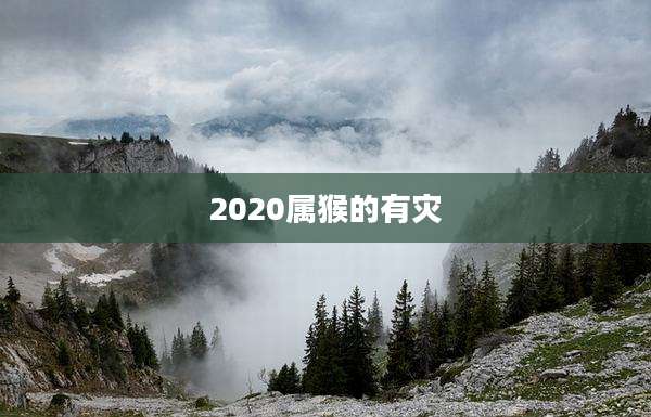 2020属猴的有灾
