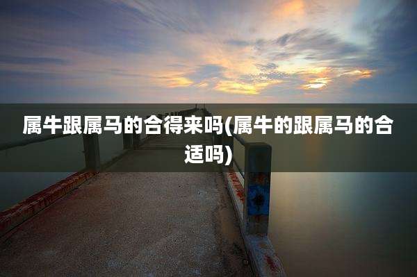 属牛跟属马的合得来吗(属牛的跟属马的合适吗)