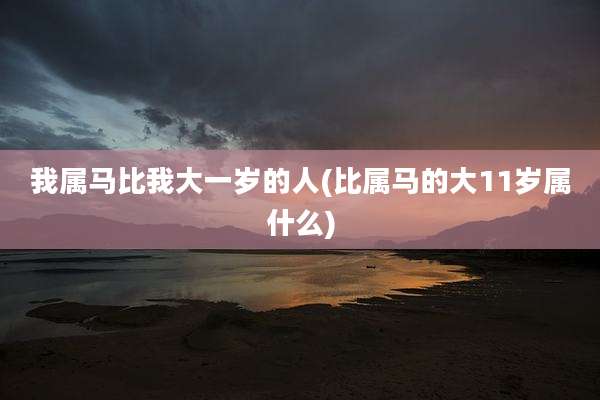 我属马比我大一岁的人(比属马的大11岁属什么)