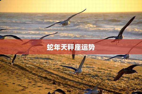 蛇年天秤座运势