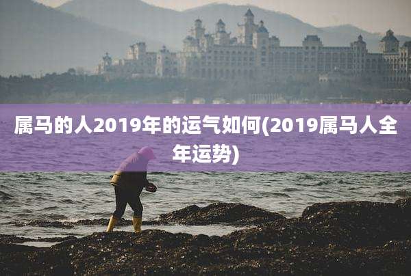 属马的人2019年的运气如何(2019属马人全年运势)