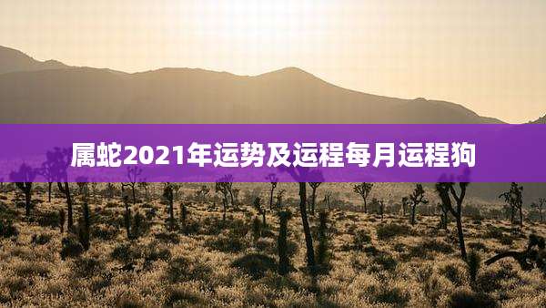 属蛇2021年运势及运程每月运程狗