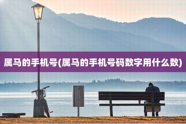 属马的手机号(属马的手机号码数字用什么数)