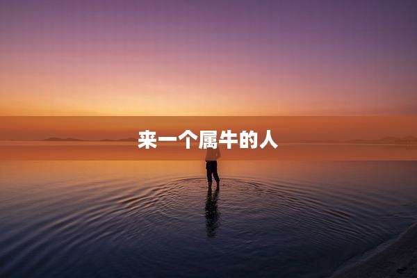来一个属牛的人