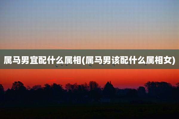 属马男宜配什么属相(属马男该配什么属相女)
