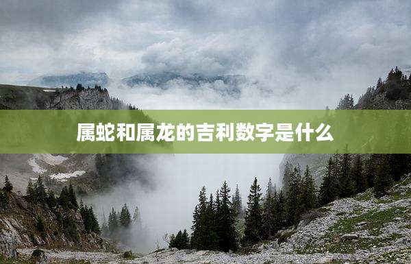 属蛇和属龙的吉利数字是什么