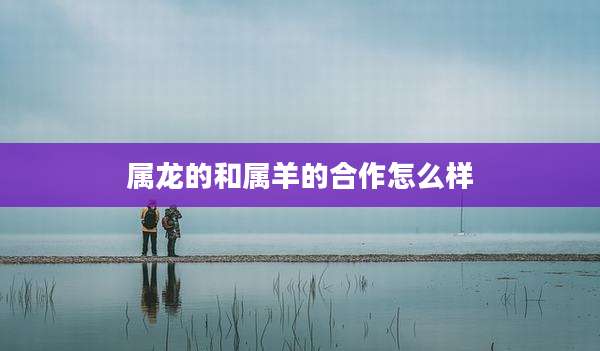 属龙的和属羊的合作怎么样