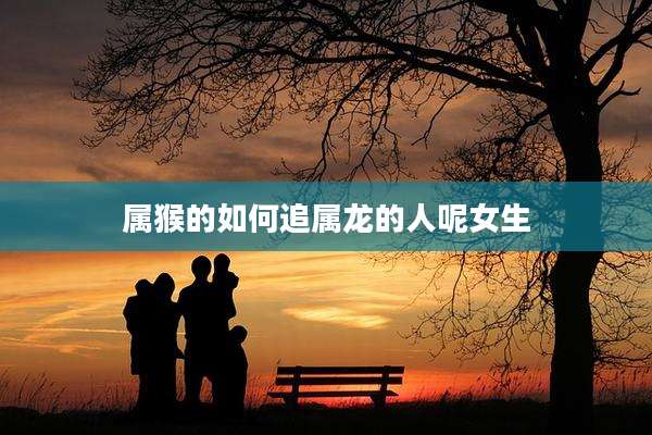 属猴的如何追属龙的人呢女生