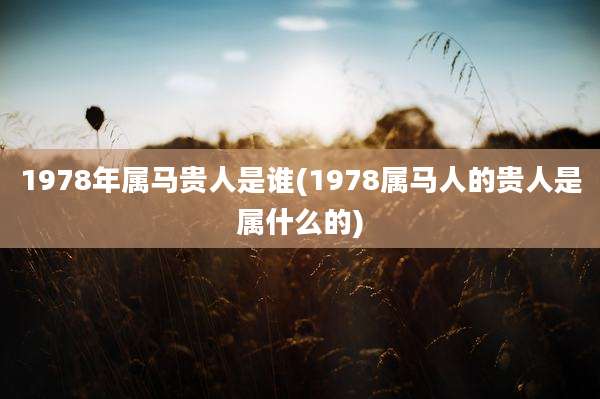 1978年属马贵人是谁(1978属马人的贵人是属什么的)