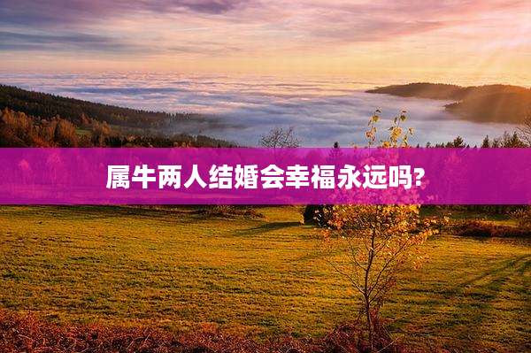 属牛两人结婚会幸福永远吗?