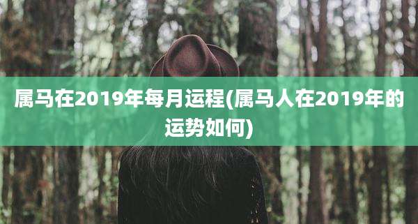 属马在2019年每月运程(属马人在2019年的运势如何)
