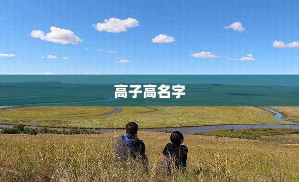 高子高名字