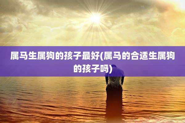 属马生属狗的孩子最好(属马的合适生属狗的孩子吗)