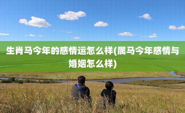 生肖马今年的感情运怎么样(属马今年感情与婚姻怎么样)
