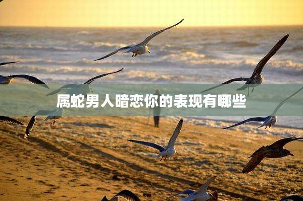 属蛇男人暗恋你的表现有哪些