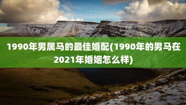 1990年男属马的最佳婚配(1990年的男马在2021年婚姻怎么样)