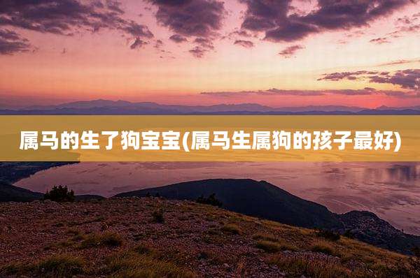 属马的生了狗宝宝(属马生属狗的孩子最好)