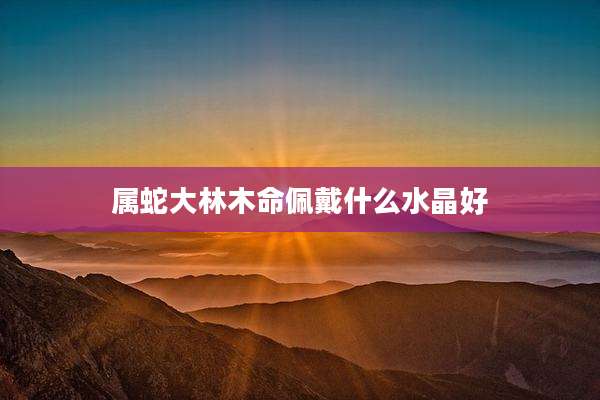 属蛇大林木命佩戴什么水晶好