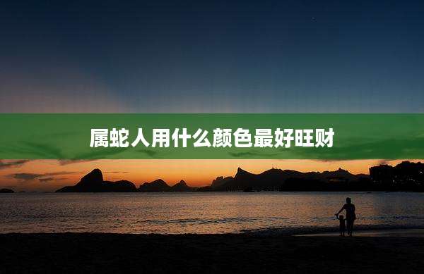 属蛇人用什么颜色最好旺财