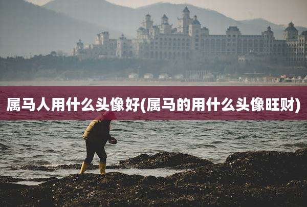 属马人用什么头像好(属马的用什么头像旺财)