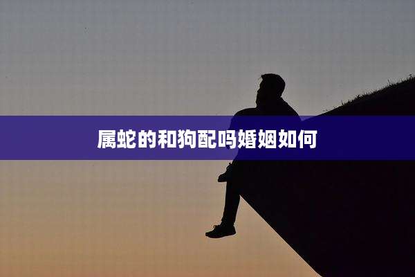 属蛇的和狗配吗婚姻如何