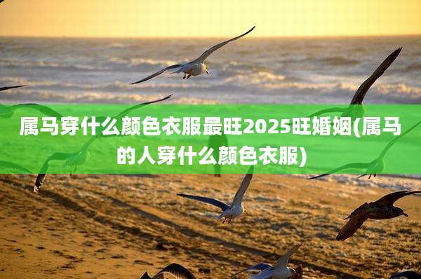 属马穿什么颜色衣服最旺2025旺婚姻(属马的人穿什么颜色衣服)