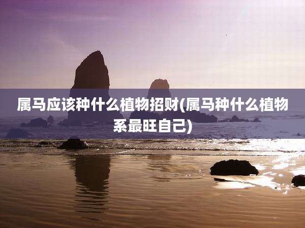 属马应该种什么植物招财(属马种什么植物系最旺自己)