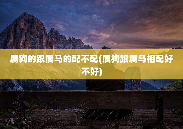 属狗的跟属马的配不配(属狗跟属马相配好不好)