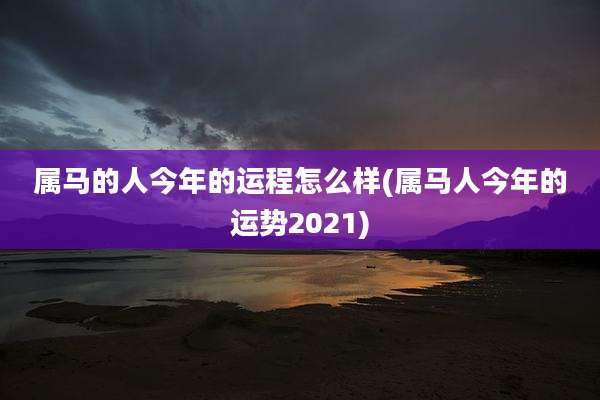 属马的人今年的运程怎么样(属马人今年的运势2021)