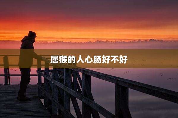 属猴的人心肠好不好