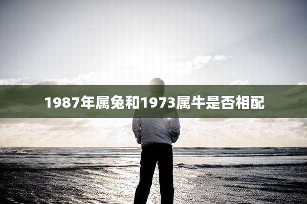 1987年属兔和1973属牛是否相配