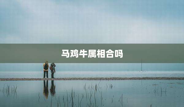 马鸡牛属相合吗