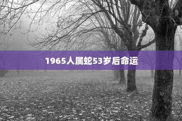 1965人属蛇53岁后命运