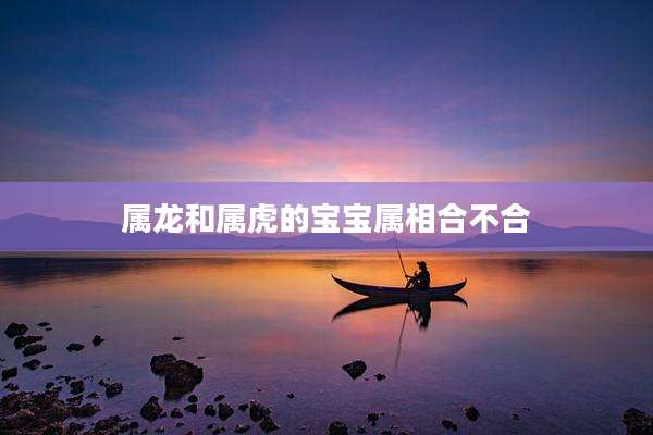 属龙和属虎的宝宝属相合不合