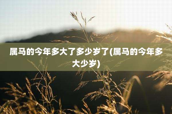 属马的今年多大了多少岁了(属马的今年多大少岁)