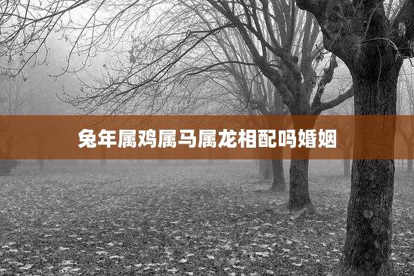 兔年属鸡属马属龙相配吗婚姻